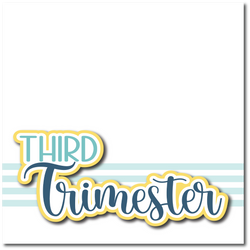 Third Trimester - Printed Premade Scrapbook Page 12x12 Layout