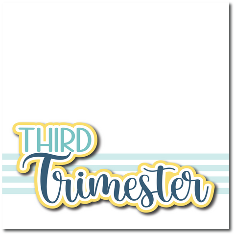 Third Trimester - Printed Premade Scrapbook Page 12x12 Layout