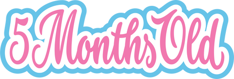5 Month Old - Scrapbook Page Title Sticker