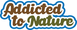 Addicted to Nature - Scrapbook Page Title Sticker
