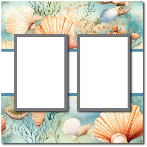 Seashells - 2 Frames - Blank Printed Scrapbook Page 12x12 Layout