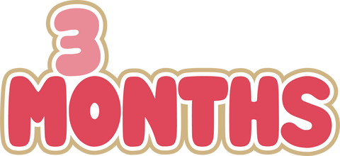 3 Months - Digital Cut File - SVG - INSTANT DOWNLOAD
