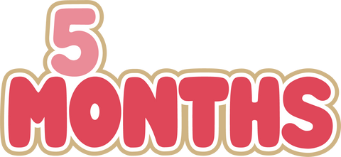 5 Months - Digital Cut File - SVG - INSTANT DOWNLOAD