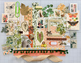 Succulents - Plants - Junk Journal or Scrapbook Kit  - Only 1 Available