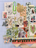Succulents - Plants - Junk Journal or Scrapbook Kit  - Only 1 Available