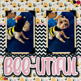 Bee-utiful - Printed Premade Scrapbook Page 12x12 Layout