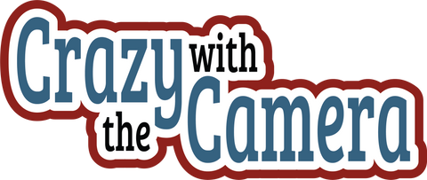 Crazy with the Camera - Digital Cut File - SVG - INSTANT DOWNLOAD
