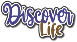 Discover Life - Scrapbook Page Title Die Cut