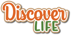 Discover Life - Scrapbook Page Title Die Cut