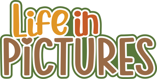 Life in Pictures - Scrapbook Page Title Sticker