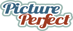 Picture Perfect - Scrapbook Page Title Sticker