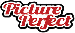 Picture Perfect - Scrapbook Page Title Die Cut