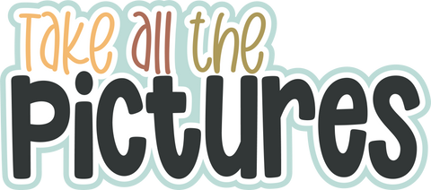 Take all the Pictures - Scrapbook Page Title Die Cut