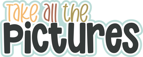 Take all the Pictures - Digital Cut File - SVG - INSTANT DOWNLOAD