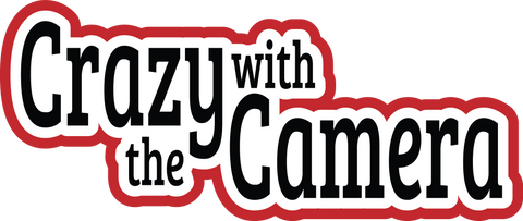 Crazy with a Camera - Scrapbook Page Title Sticker