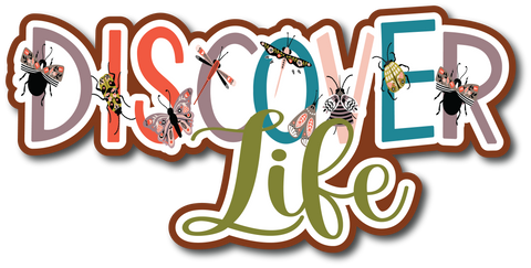 Discover Life - Scrapbook Page Title Sticker